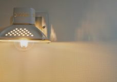 B1D15EAE-9B47-4AC8-B104-3EB1C6159B52_1_201_a-scaled