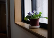 DE8256C0-54F7-486A-A97B-27700EDACF6F-scaled