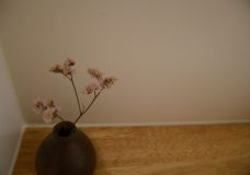 IMG_3344-scaled
